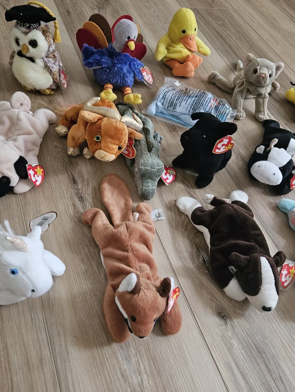 Lot Of 17 Ty Beanie Babies Small Pet Plush Lot Beanie Baby Lot Huge Haul